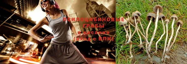 бутират Кукмор