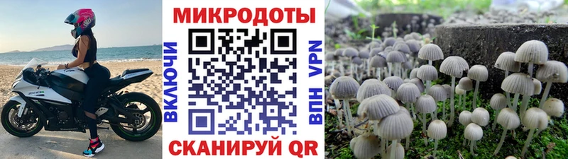 Галлюциногенные грибы Magic Shrooms  Купить  Киреевск 